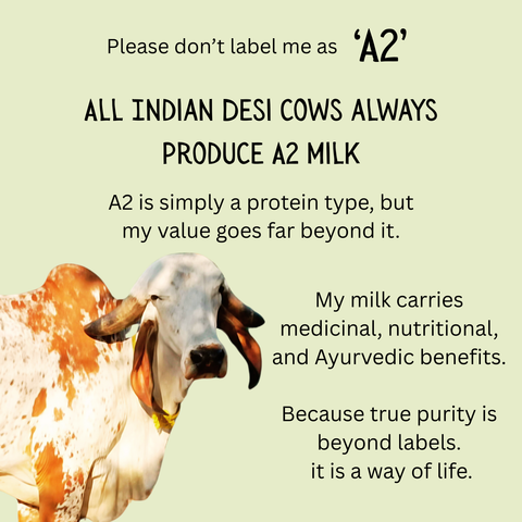 Shop Your Favourites